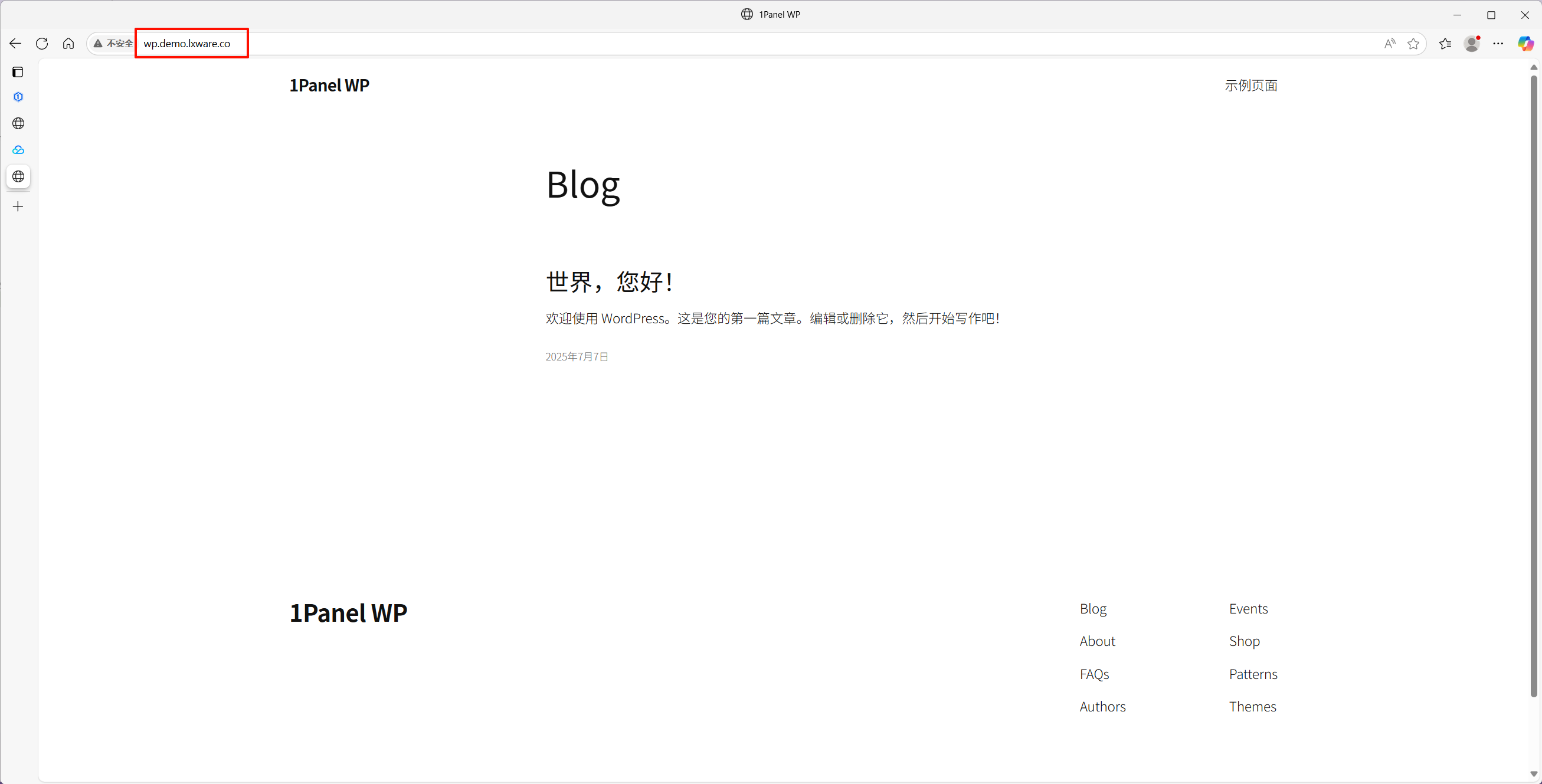 verify-dns-record.png